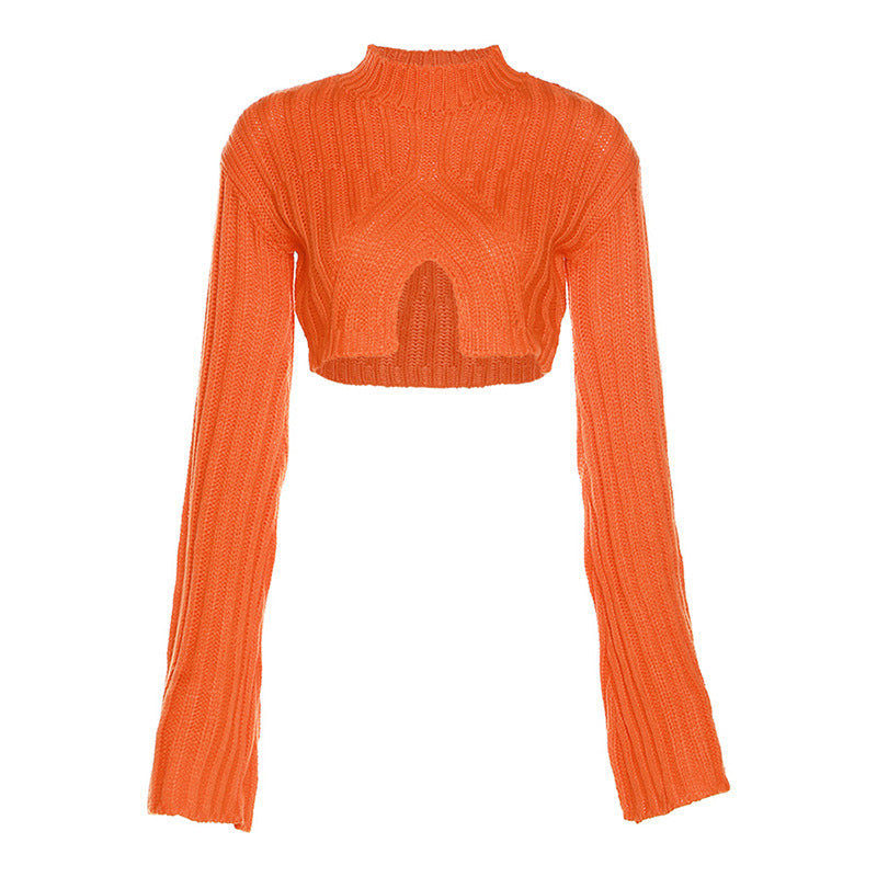 Women Knit Sweater