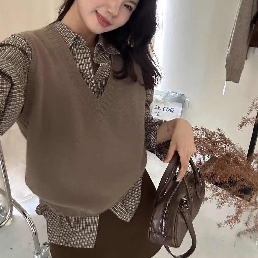 Korean-style Loose Long-sleeve Top For Women